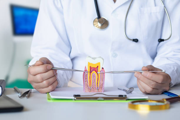 Best After-Hours Emergency Dentist in Twin Lakes, VA